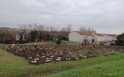 Image du projet Projet de création d'une Aire terrestre éducative sur la commune de Dardilly 