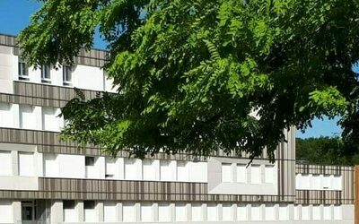 Image du projet L'aire terreste éducative des 6E du collège Romain Rolland