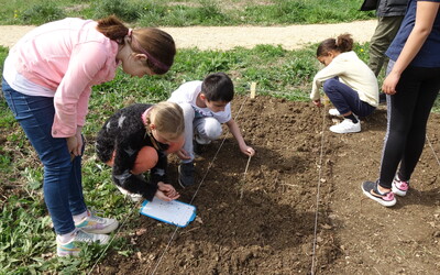 Image du projet ATE GRAND JARDIN POMBONNE