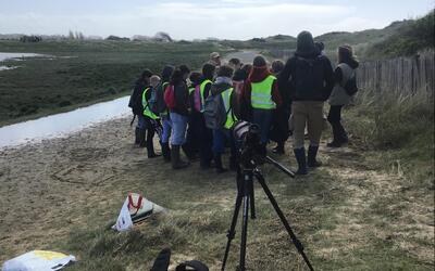 Image du projet La Baie C D'Aire de la Sienne par les élèves de 6ème du collège de Montmartin-sur-mer