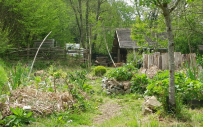 Image du projet Classe découverte Forêt et Bocage