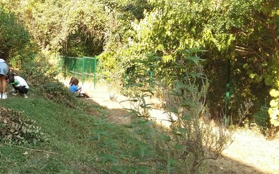 Image du projet Une biodiversité protégée, un atout pour Sainte-Tulle !