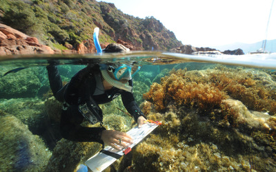 Image du projet Aire Marine Educative du Lycée des Calanques