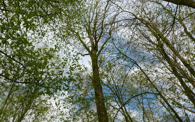 Image du projet CLASSE NATURE A MORBECQUE AVRIL 2026