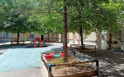 Image du projet Végétalisation de nos tours d'arbres et animations nature