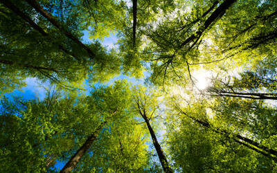 Image du projet ATE Aignay-le-Duc - Commune du Parc National des Forêts