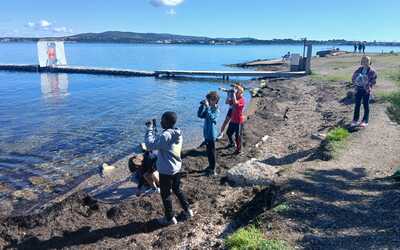 Image du projet L'Aire Marine Educative de la Plagette, une aire gérée par les CM1/CM2 de l'école La Renaissance. 