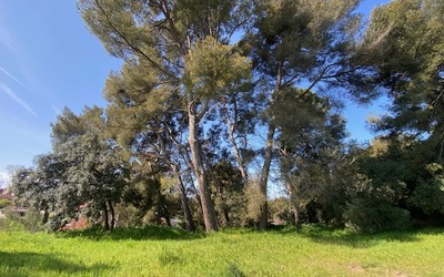 Image du projet Campagne Gabrielle