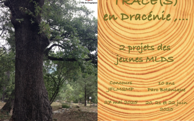 Image du projet Trace(s) en Dracénie,...