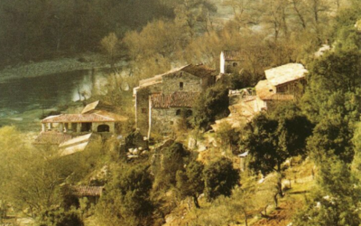 Image du projet Classe nature des CP-CE1-CE2