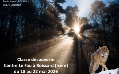 Image du projet Le voyage des explorateurs du Cantal dans l’extraordinaire forêt des Alpes