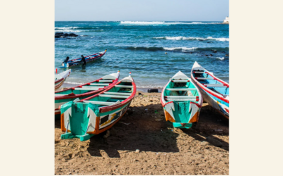 Image du projet Histoire et mémoires de l’esclavage et des luttes pour les abolitions : Visite Dakar