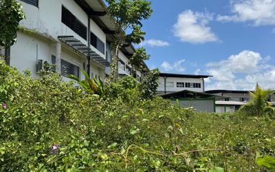 Image du projet ATE Collège Paul Jean Louis: Un espace pour apprendre, coopérer et s'ancrer dans son territoire
