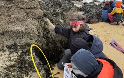 Image du projet Aire Marine Educative de la plage Saint Jean