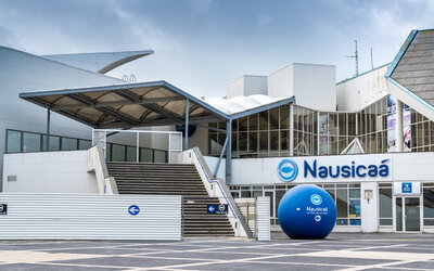 Image du projet Journée à la mer