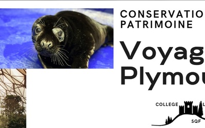 Image du projet Voyage linguistique et éco-culturel au cœur des patrimoines vivants des Cornouailles anglaises