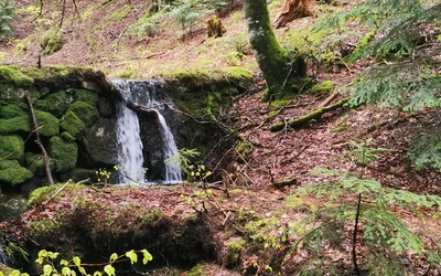 Image du projet Les écodélégués en pleine nature