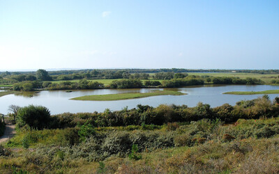 Image du projet Cap sur le parc du Marquenterre et la mer