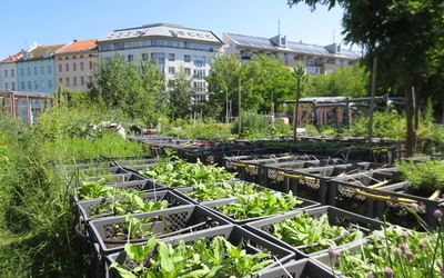 Image du projet Penser globalement, agir localement.