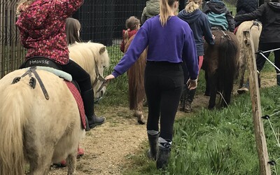 Image du projet Les CP et CP-CE1 de Vertou partent faire du poney.