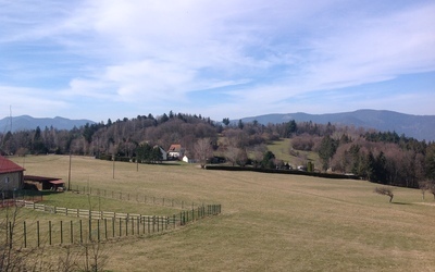 Image du projet Classe verte des CM2 en autogestion à Grendelbruch