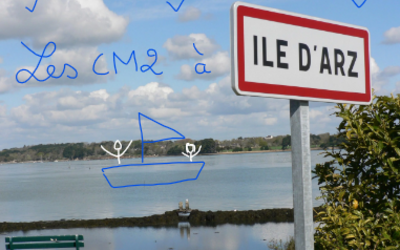 Image du projet Classe de mer en Bretagne