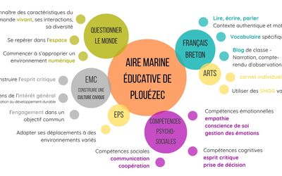 Image du projet Aire marine éducative de Plouézec