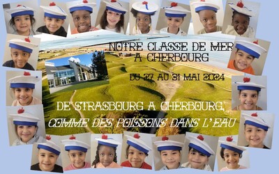 Image du projet Classe de Mer - De Strasbourg vers la Normandie !