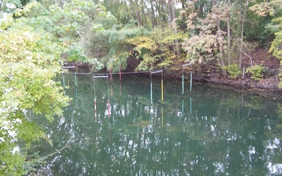 Image du projet Sorties kayak et accrobranche aux étangs de Cergy