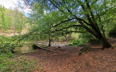 Image du projet  ATE Au fil du Sioulet