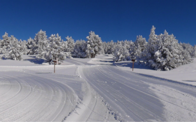 Image du projet Jean Jaurès en classe de neige