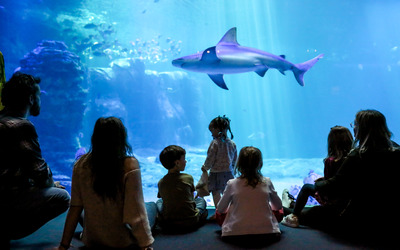 Image du projet Petits citoyens de la mer et de la Terre : apprendre à connaître, aimer et protéger le vivant