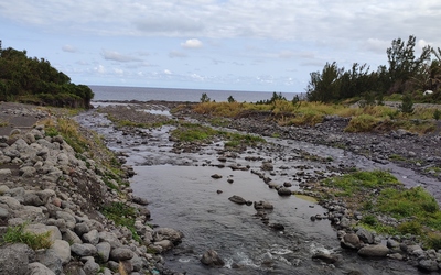 Image du projet ATE Rivière des remparts