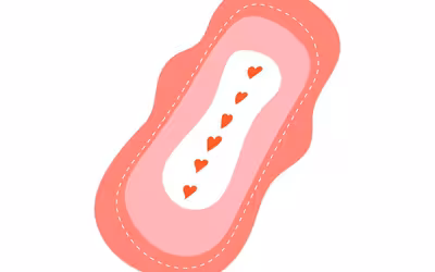 Image du projet Distributeur de protections périodiques pour le collège de l'Orbellière
