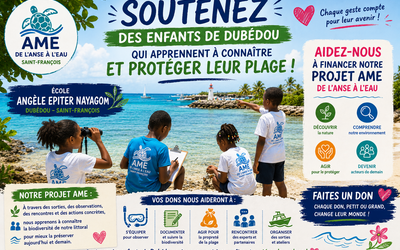 Image du projet l'AME de l'anse à l'eau