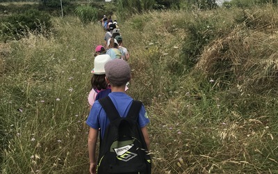 Image du projet Aire Terrestre Educative de l'école Le chêne Vert Loupian