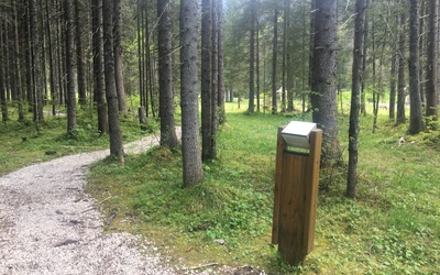 Image du projet Aire Terrestre Educative aux portes de la réserve naturelle des Contamines-Montjoie