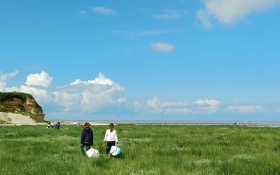 Image du projet AME de la pointe Saint-Clément d'Esnandes