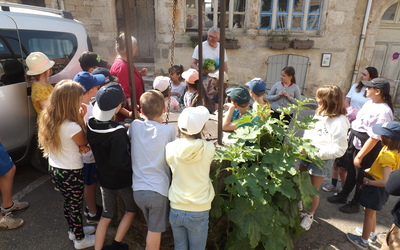 Image du projet Les CM1-CM2 en Touraine sur les traces de Léonard de Vinci