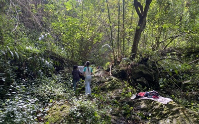Image du projet ATE ravine du Petit Etang à Etang Saint Leu