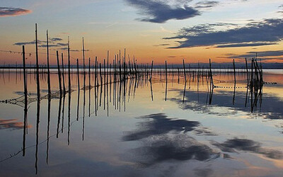 Image du projet Voyage à Valence, Espagne