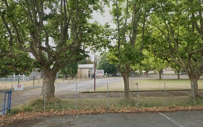 Image du projet L'école d'André Malraux à la découverte de la biodiversité locale sur le site de Campréal ! 