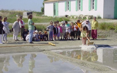 Image du projet Les élèves de CE1 et de CE2 du RPI la Chaussée, Butteaux, Percey, Germigny en séjour à la mer