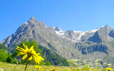 Image du projet Classe verte à la montagne