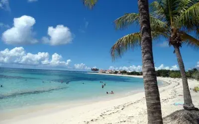 Image du projet Une aire marine éducative gérée par les CM1 de l'école des Raisins Clairs 