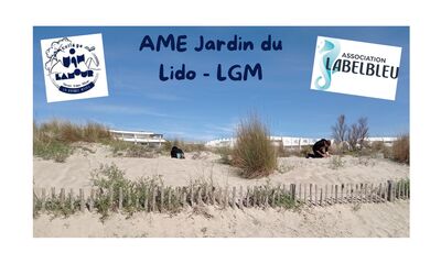 Image du projet Projet AME Jardin du Lido, 6ème du collège Philippe Lamour LGM
