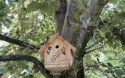 Image du projet Les CM2 de Puy-Guillaume renforcent la biodiversité du parc paysager