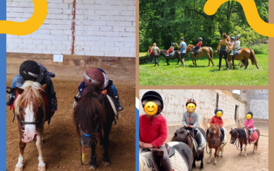 Image du projet Les MS et GS de Pradines à la rencontre des poneys et de la ferme pédagogique