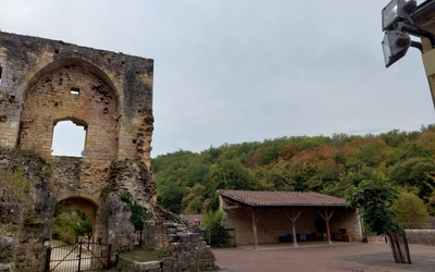 Image du projet Découverte de la biodiversité à Coly-Saint-Amand