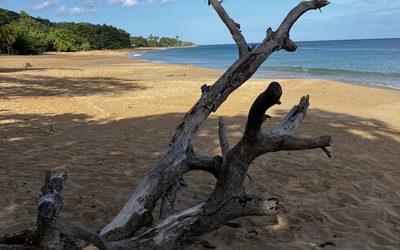 Image du projet Une Aire Marine Educative pour la Plage de La Perle .(AME)